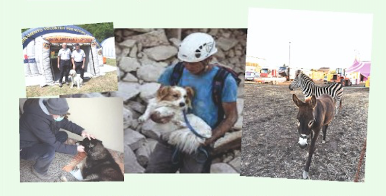 Corso di formazione: gestione delle emergenze veterinarie nelle attività di protezione civile