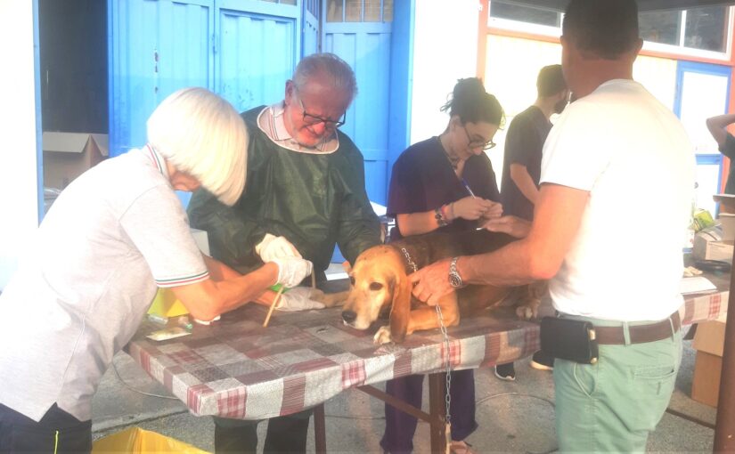 Corso di formazione: ruolo del veterinario nelle emergenze non epidemiche
