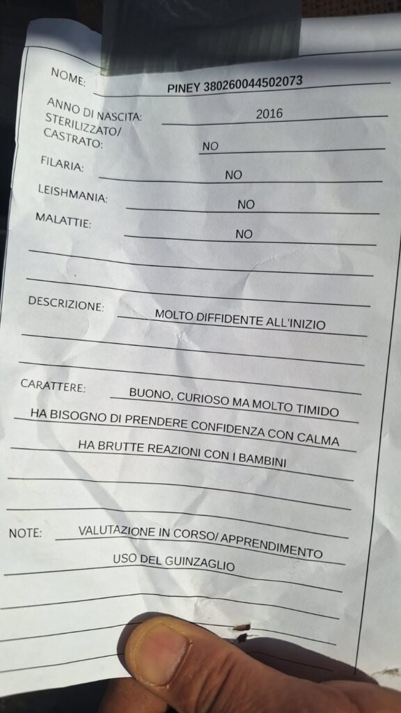 Esercitazone evacuazione canile Baudania 25 giugno