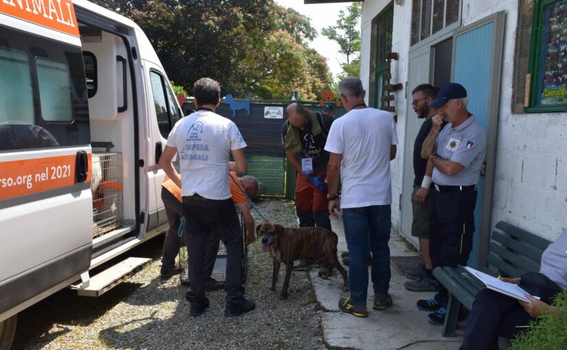 Esercitazione a Casale Monferrato – evacuazione canile Baudania 25 giugno 2026